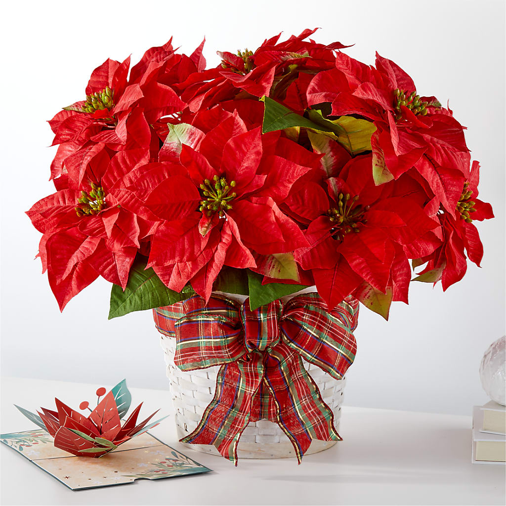 Happiest Holidays Poinsettia and Lovepop Card – BUDS CUT FLOWERS & MORE, Taos NM