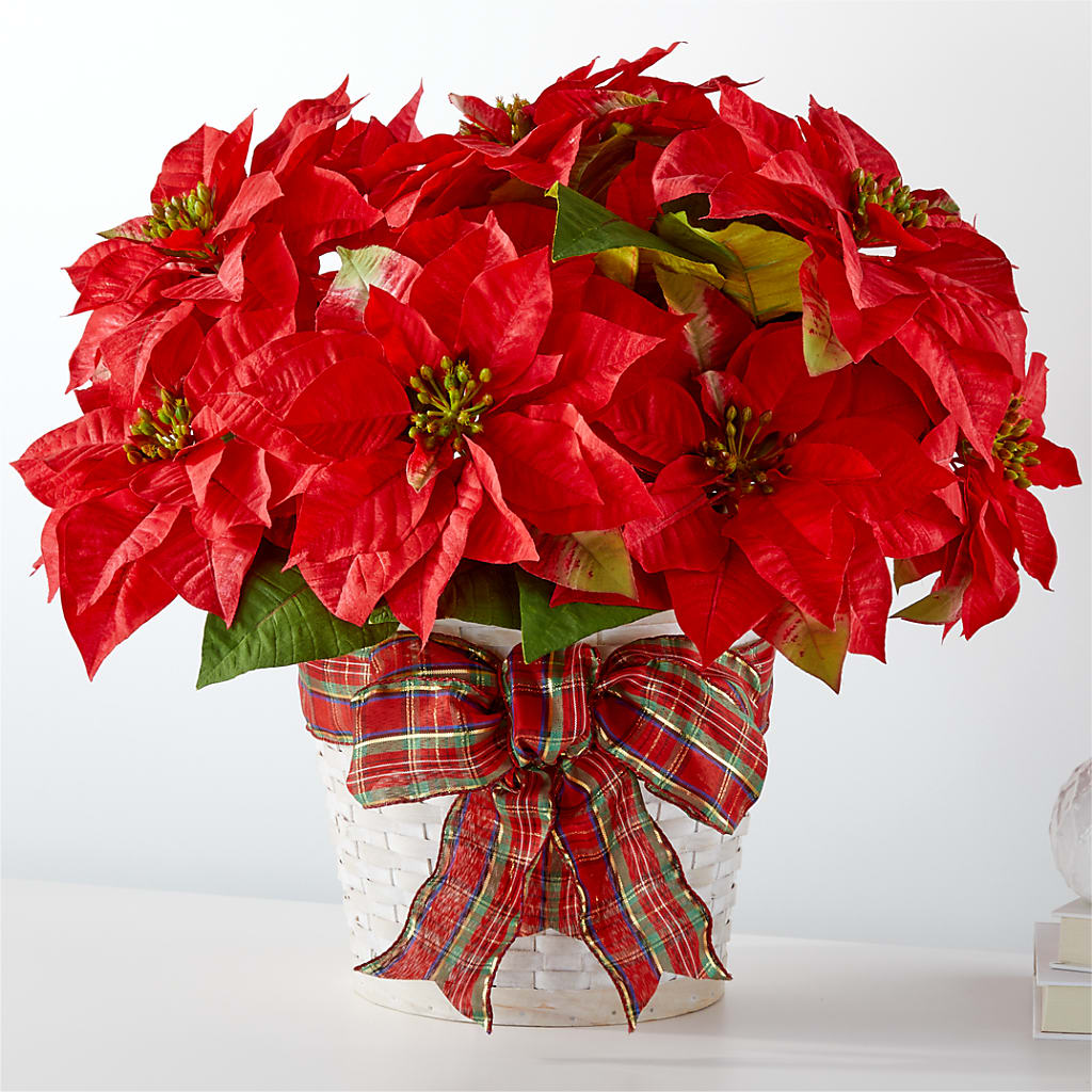 Happiest Holidays Poinsettia – BUDS CUT FLOWERS & MORE, Taos NM