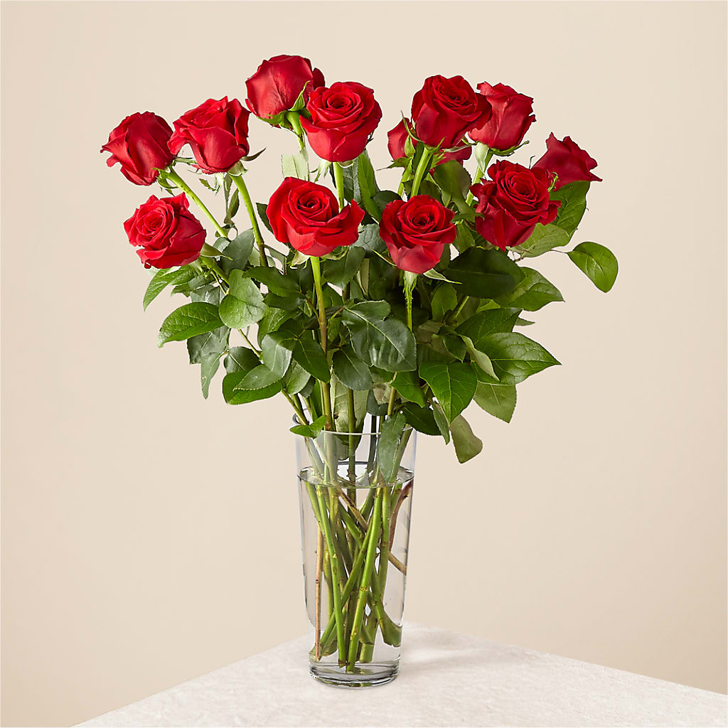 Long Stem Red Rose Bouquet – BUDS CUT FLOWERS & MORE, Taos NM