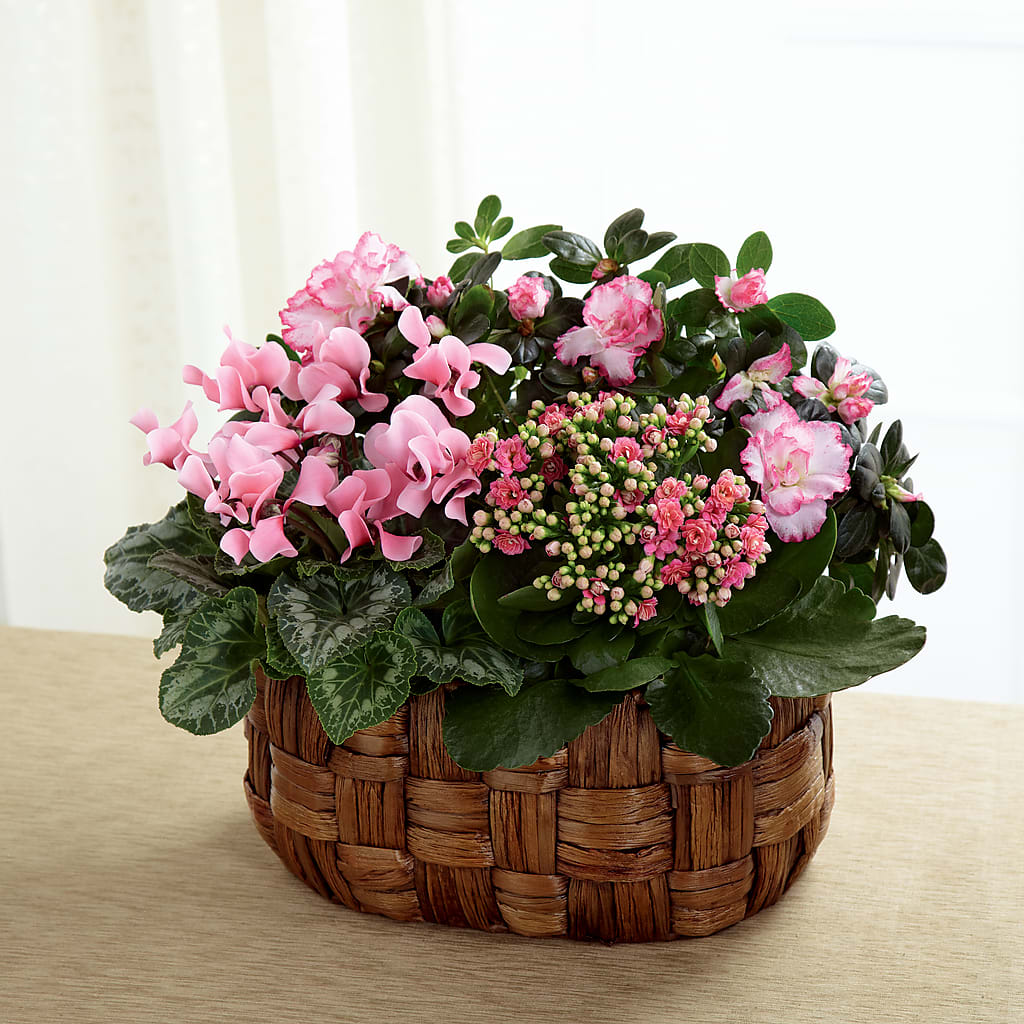 Pink Assortment – BUDS CUT FLOWERS & MORE, Taos NM