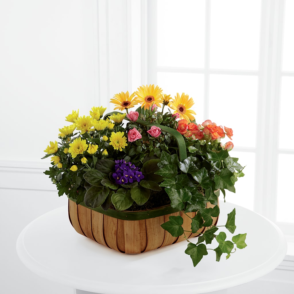 Gentle Blossoms Basket – BUDS CUT FLOWERS & MORE, Taos NM