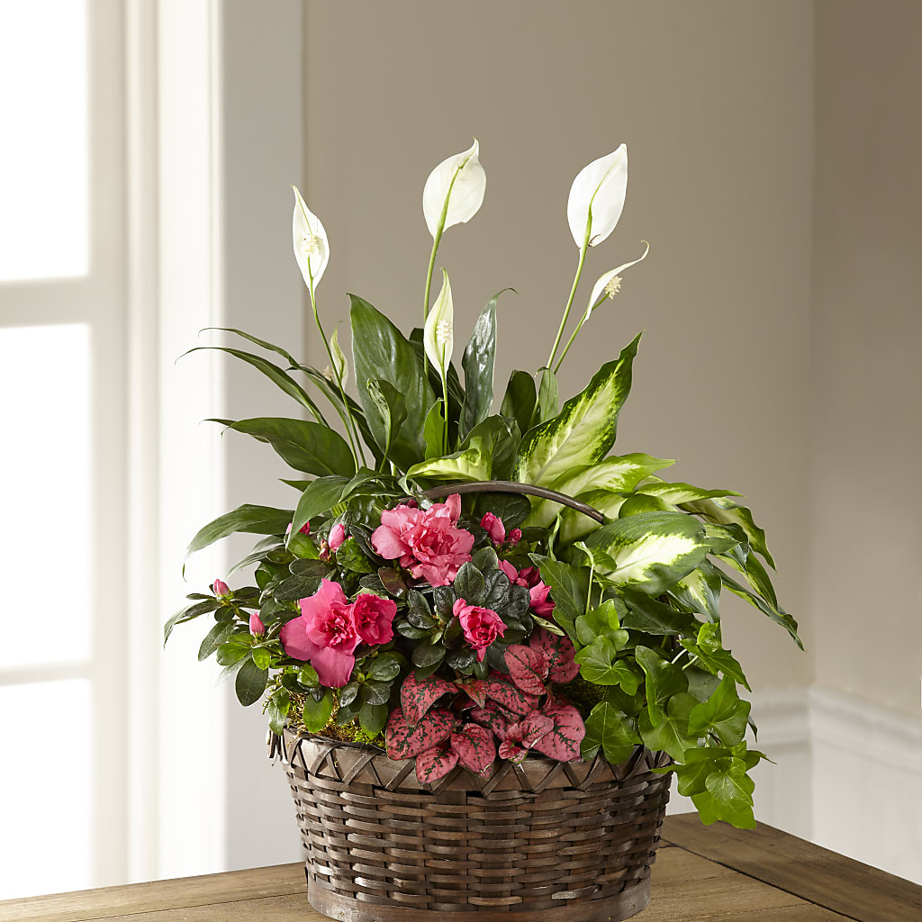 Dream in Pink Dishgarden – BUDS CUT FLOWERS & MORE, Taos NM