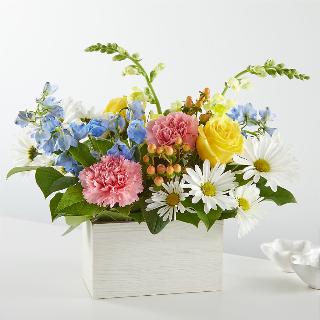 Sun Salutation Box Bouquet – BUDS CUT FLOWERS & MORE, Taos NM