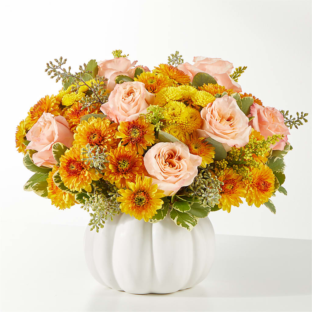 Peachy Pumpkin – BUDS CUT FLOWERS & MORE, Taos NM
