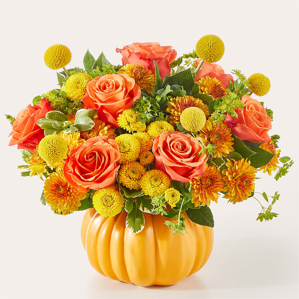 Gourdgeous Pumpkin – BUDS CUT FLOWERS & MORE, Taos NM