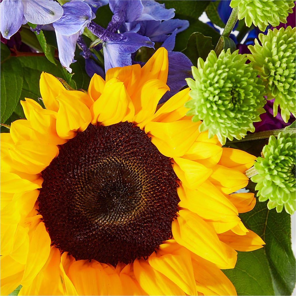 Catching Rays Bouquet – BUDS CUT FLOWERS & MORE, Taos NM
