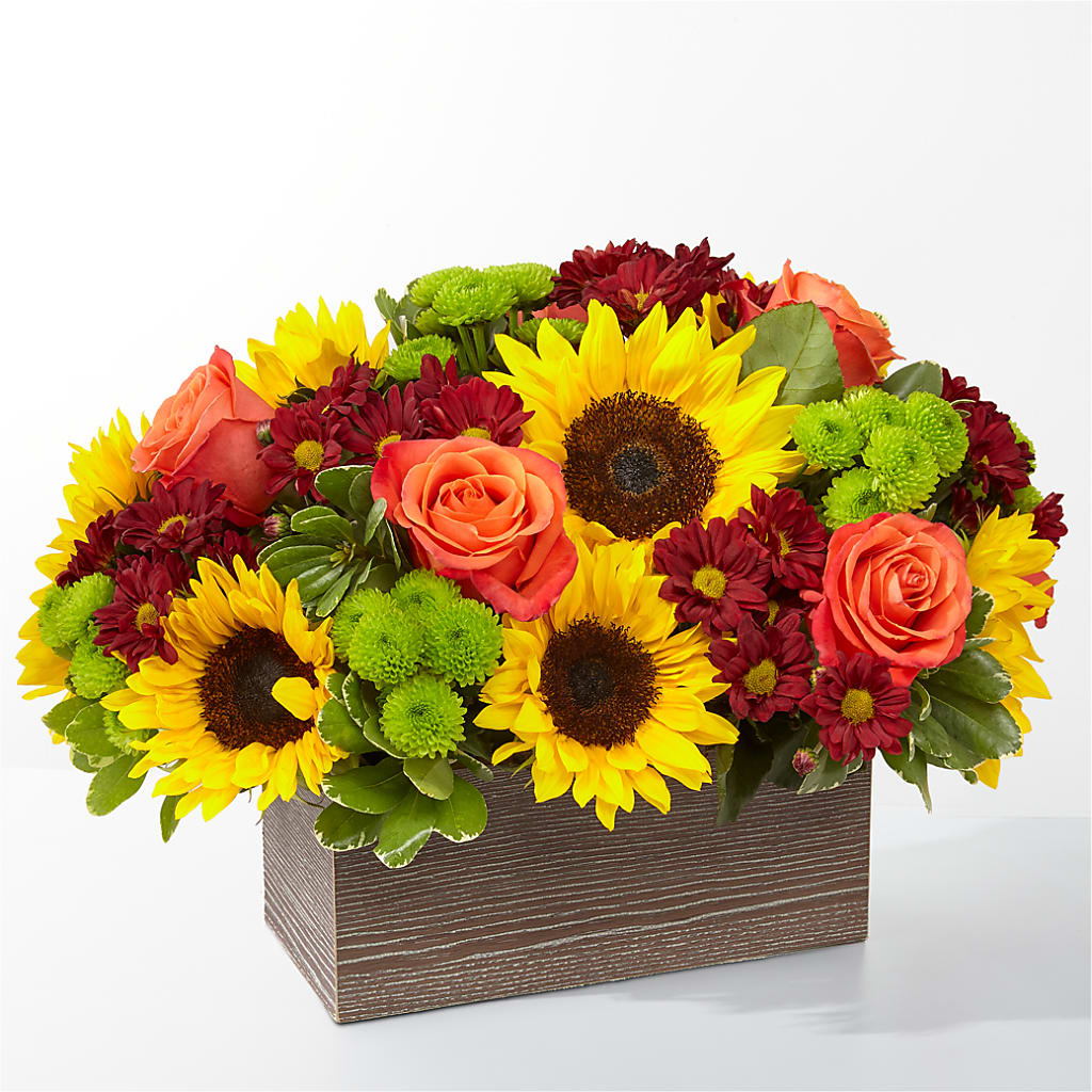 Happy Harvest Garden – BUDS CUT FLOWERS & MORE, Taos NM
