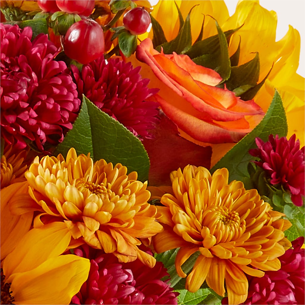 Sweater Season - A Florist Original – BUDS CUT FLOWERS & MORE, Taos NM