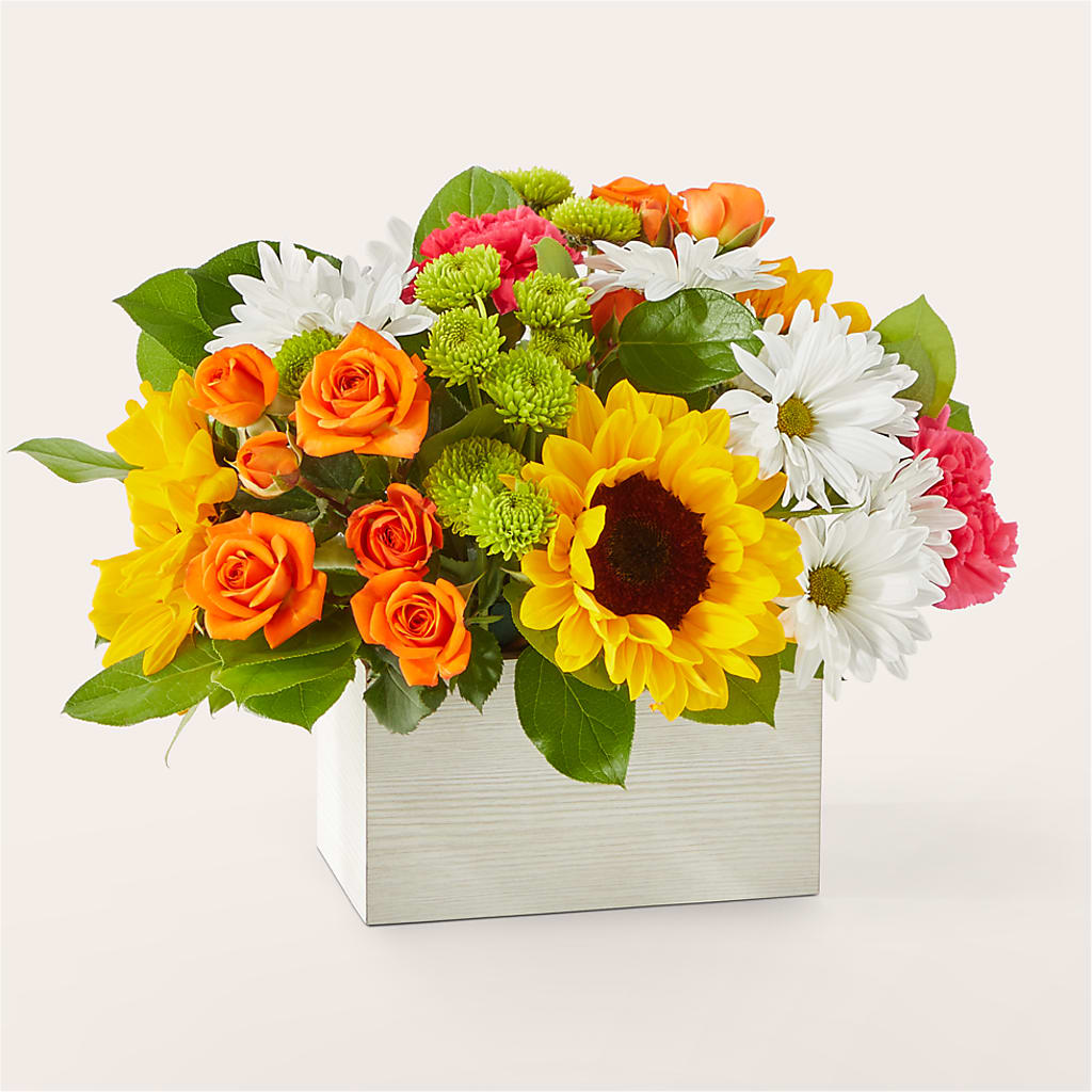 Sun-drenched Blooms Box Bouquet – BUDS CUT FLOWERS & MORE, Taos NM