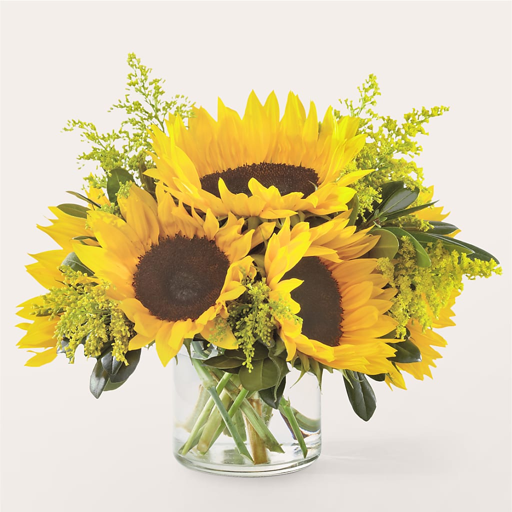 Beaming Sunflower Bouquet – BUDS CUT FLOWERS & MORE, Taos NM