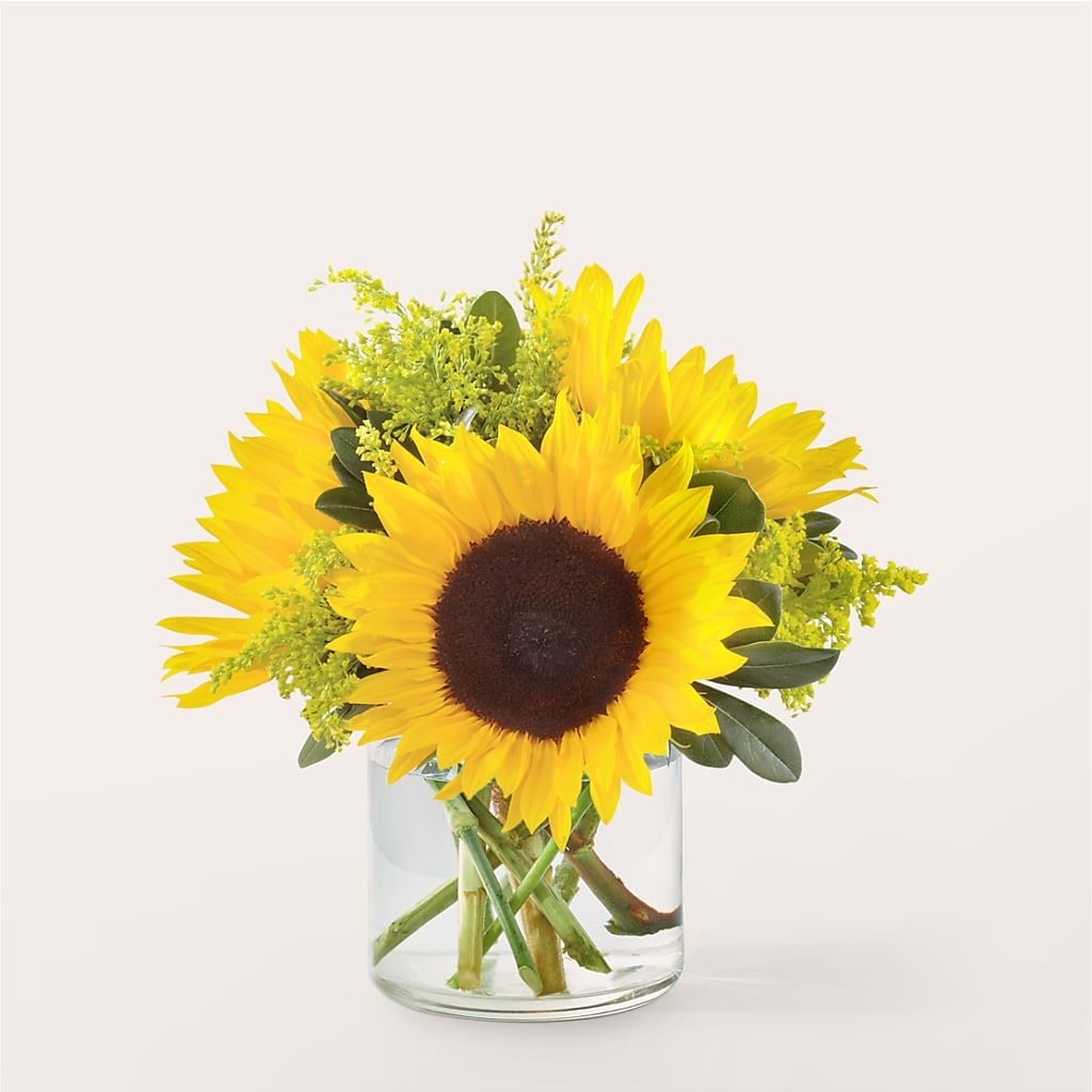 Beaming Sunflower Bouquet – BUDS CUT FLOWERS & MORE, Taos NM