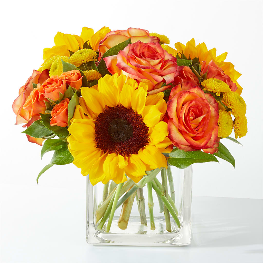 Picnic in the Park Bouquet – BUDS CUT FLOWERS & MORE, Taos NM