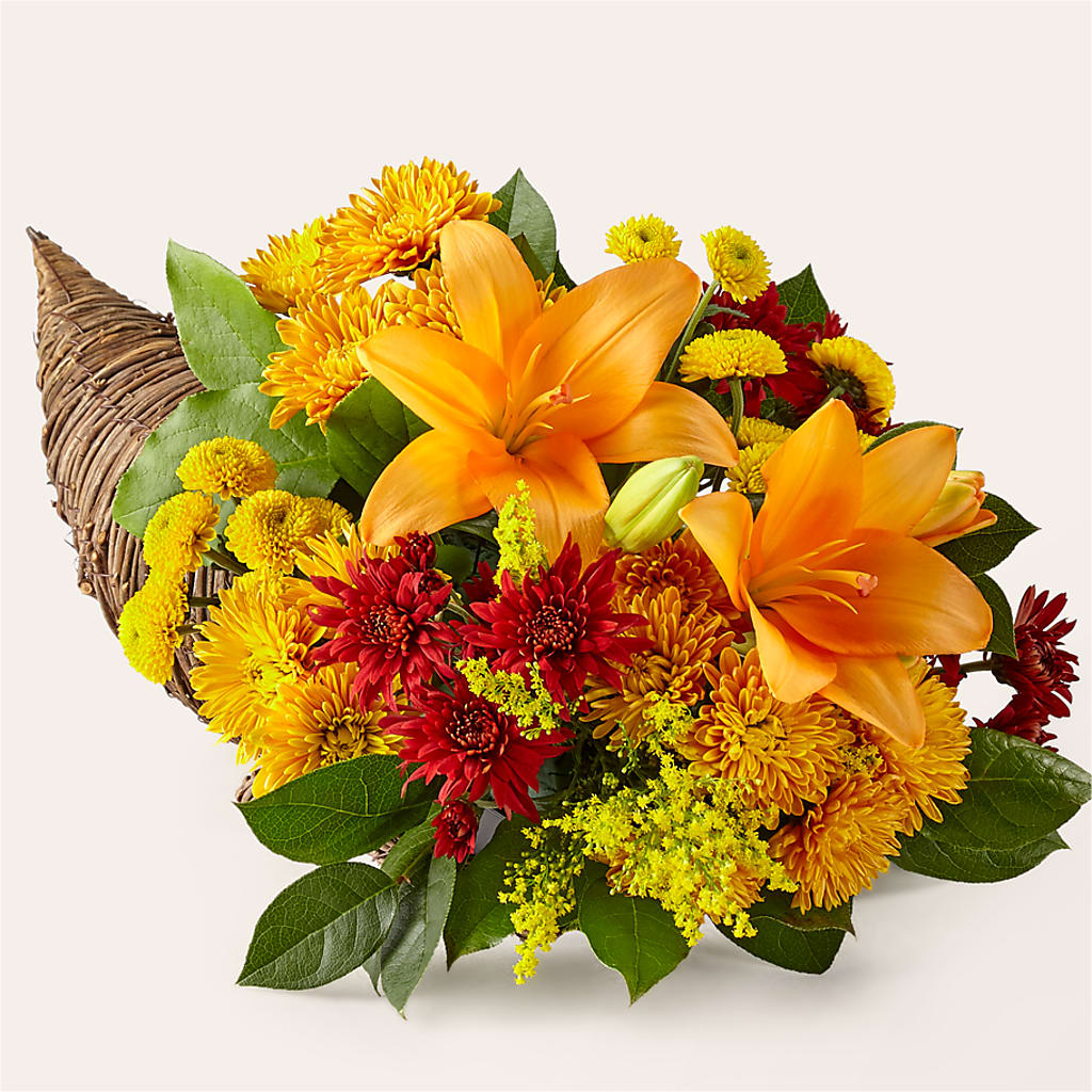 Feast of Color Cornucopia – BUDS CUT FLOWERS & MORE, Taos NM
