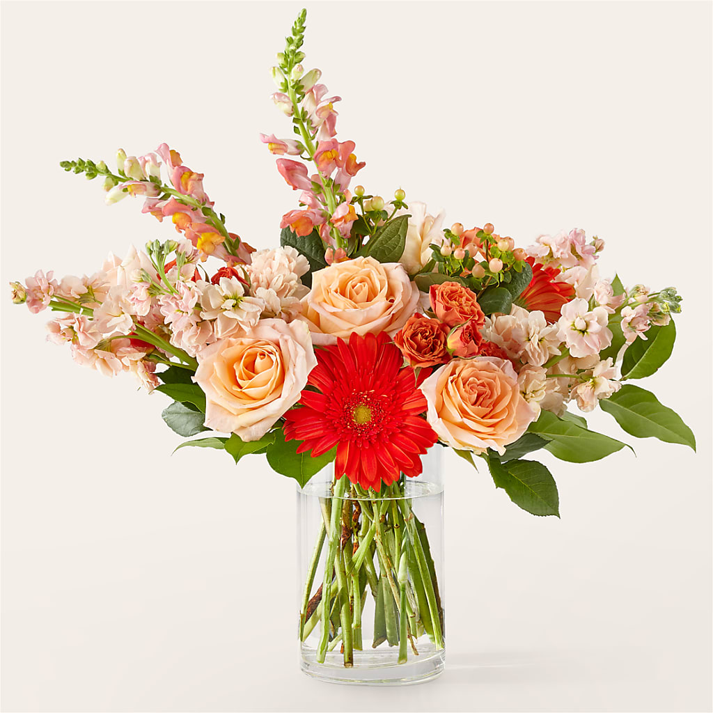 Paloma Please Bouquet – BUDS CUT FLOWERS & MORE, Taos NM