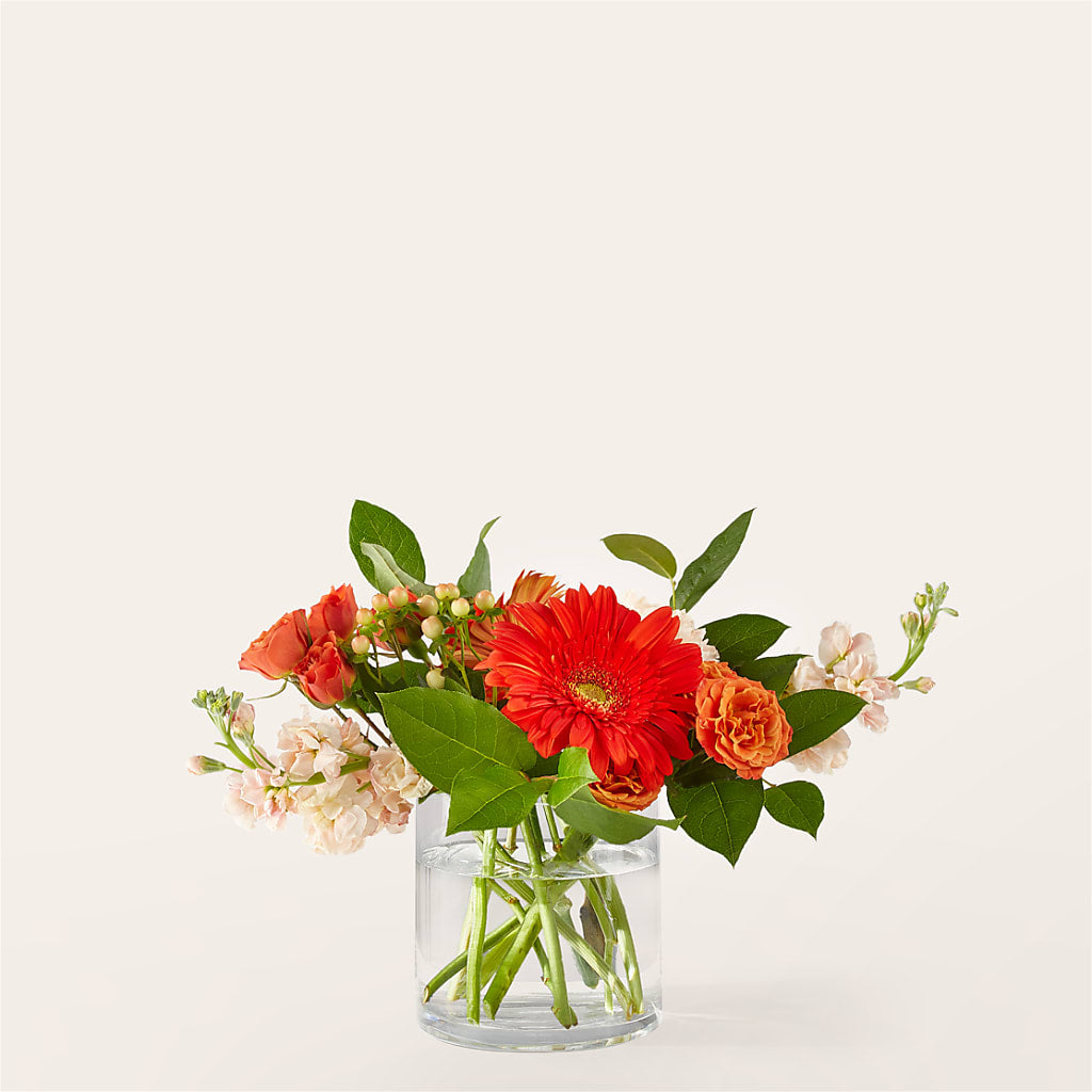 Paloma Please Bouquet – BUDS CUT FLOWERS & MORE, Taos NM