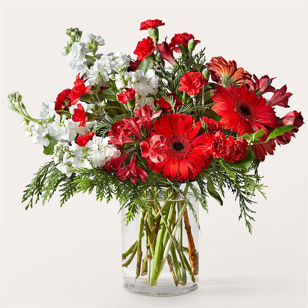 Holidaisy Bouquet – BUDS CUT FLOWERS & MORE, Taos NM