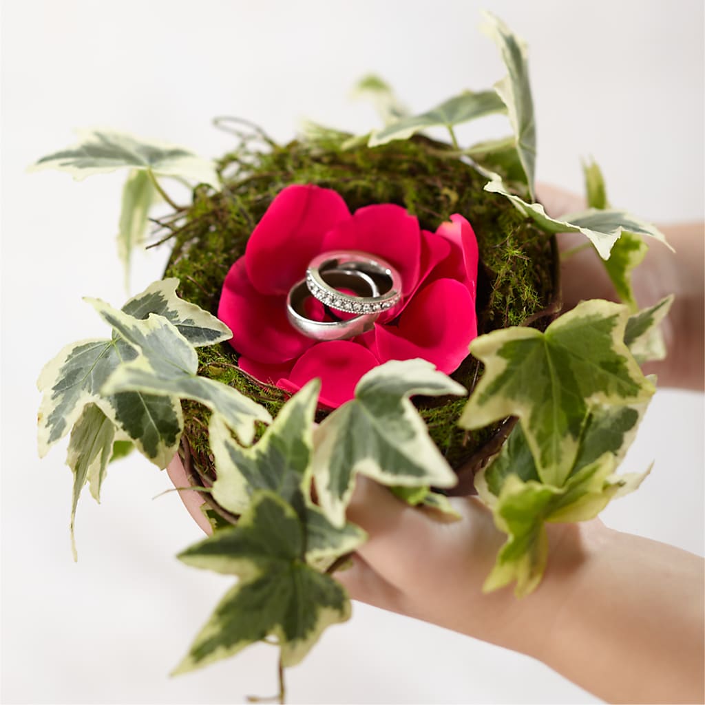 Lila Rose Ring Nest – BUDS CUT FLOWERS & MORE, Taos NM