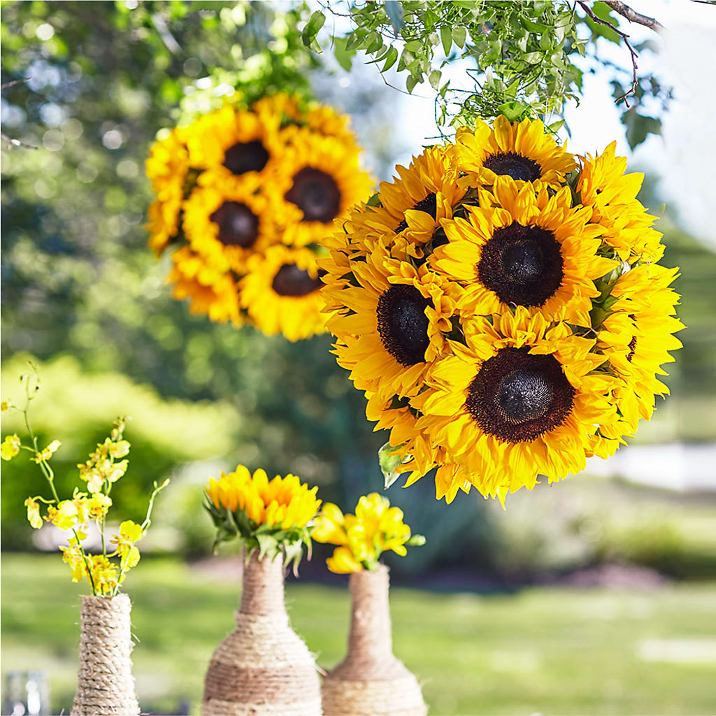Sublime Garden Hanging Arrangement – BUDS CUT FLOWERS & MORE, Taos NM