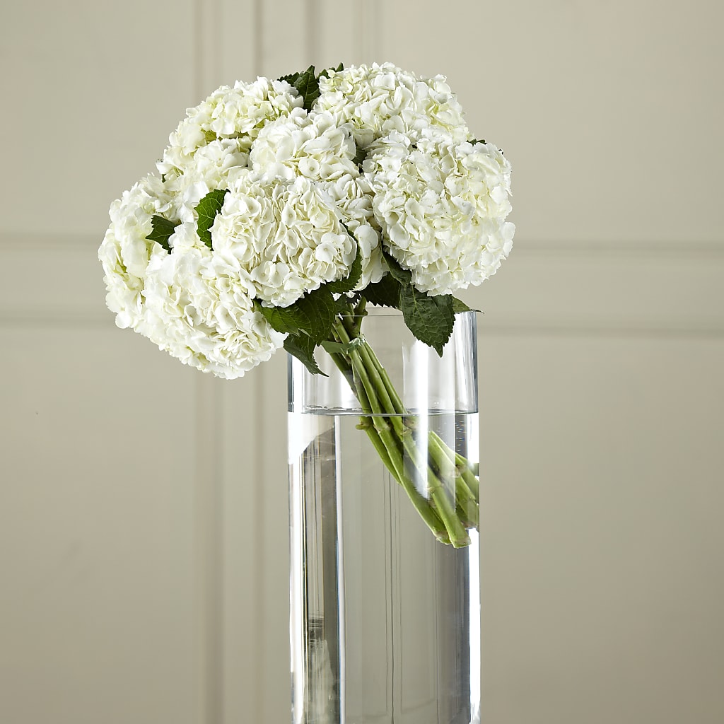 White Hydrangea Hand-Tied Bouquet – BUDS CUT FLOWERS & MORE, Taos NM