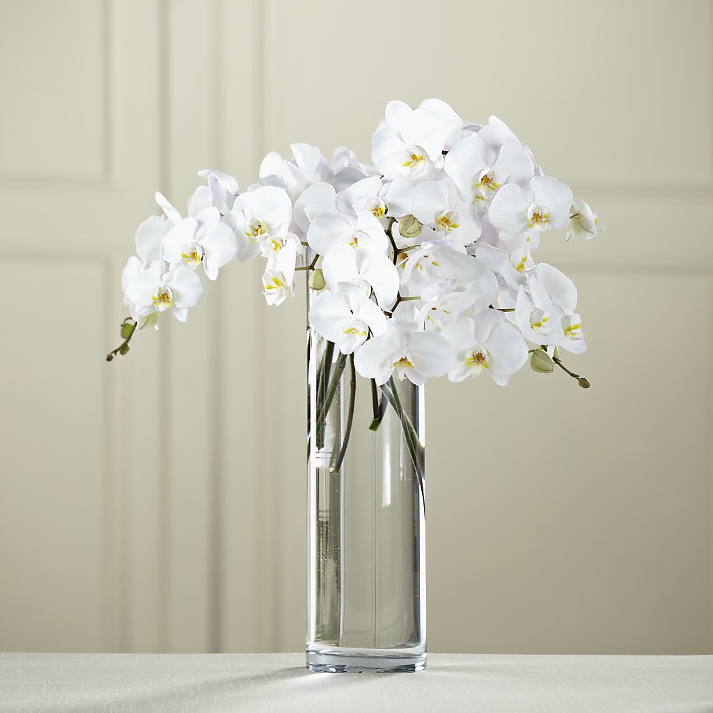 White Phalaenopsis Bouquet – BUDS CUT FLOWERS & MORE, Taos NM