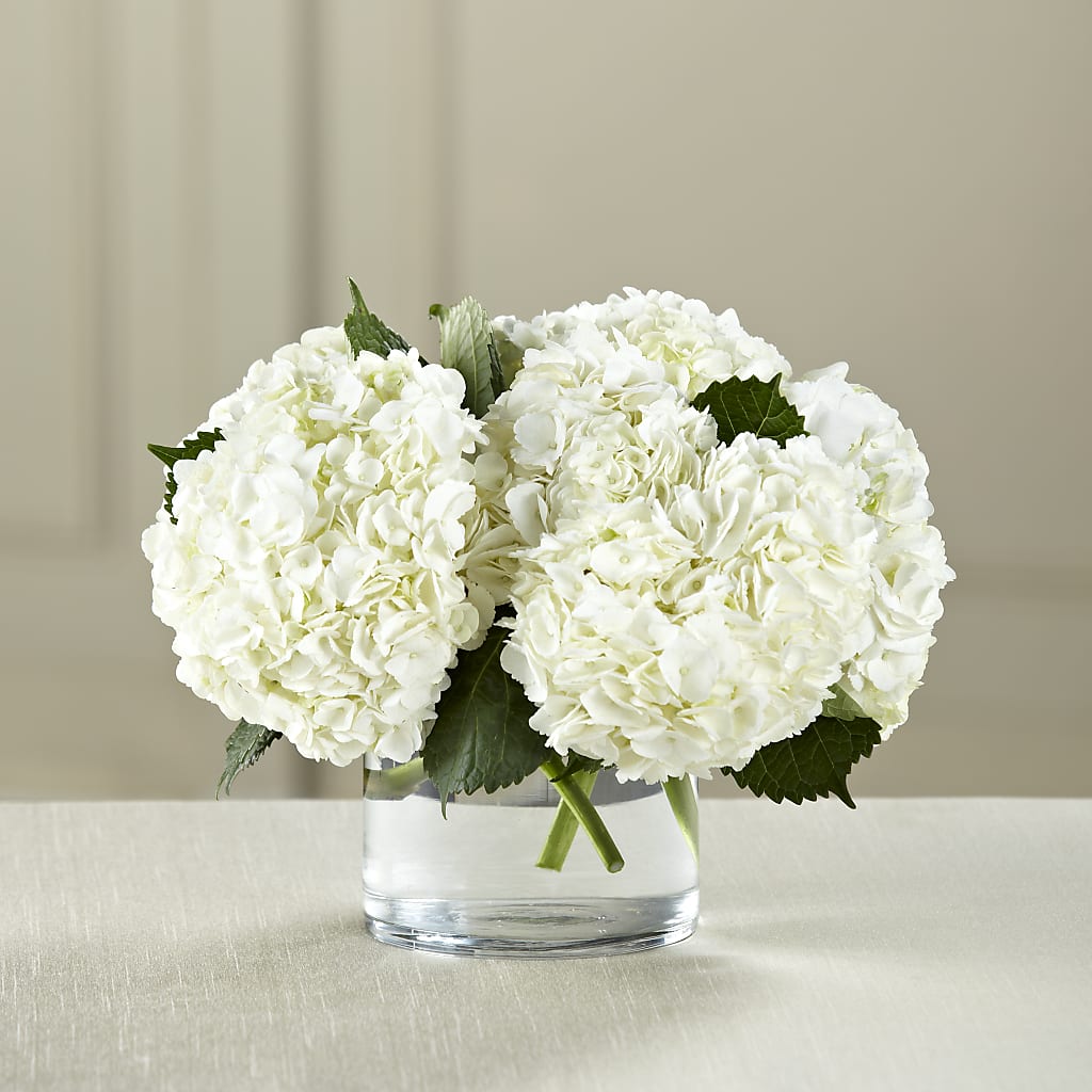 White Hydrangea Bouquet – BUDS CUT FLOWERS & MORE, Taos NM