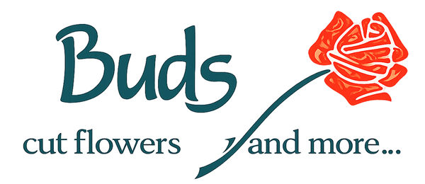 Buds Cut Flowers & More