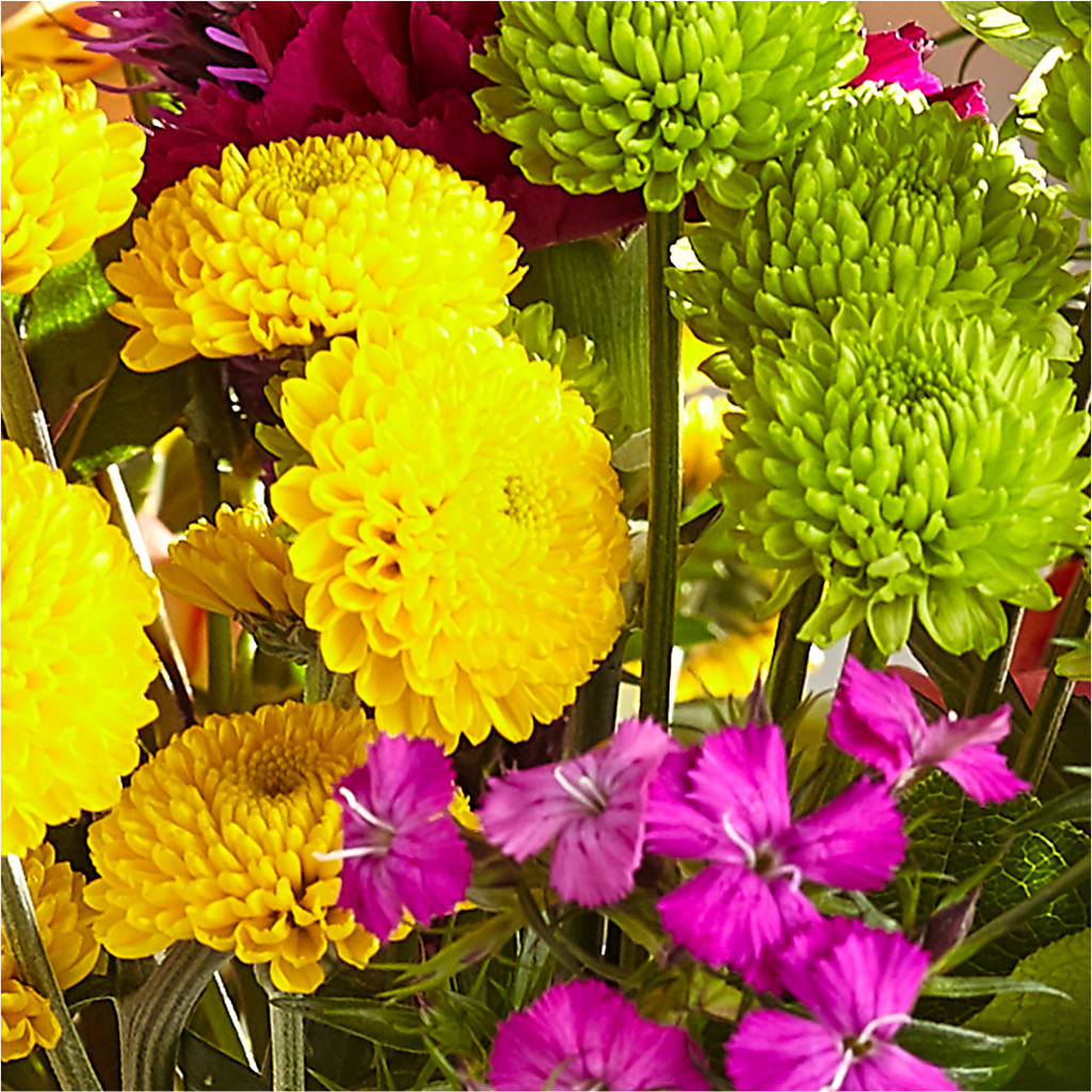 Bold & Bright – A Florist Original – BUDS CUT FLOWERS & MORE, Taos NM