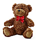 Adorable Plush Bear – BUDS CUT FLOWERS & MORE, Taos NM