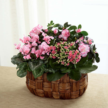 Pink Assortment – BUDS CUT FLOWERS & MORE, Taos NM