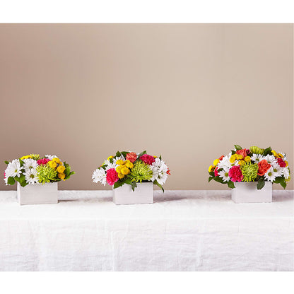 Sorbet Bouquet – BUDS CUT FLOWERS & MORE, Taos NM