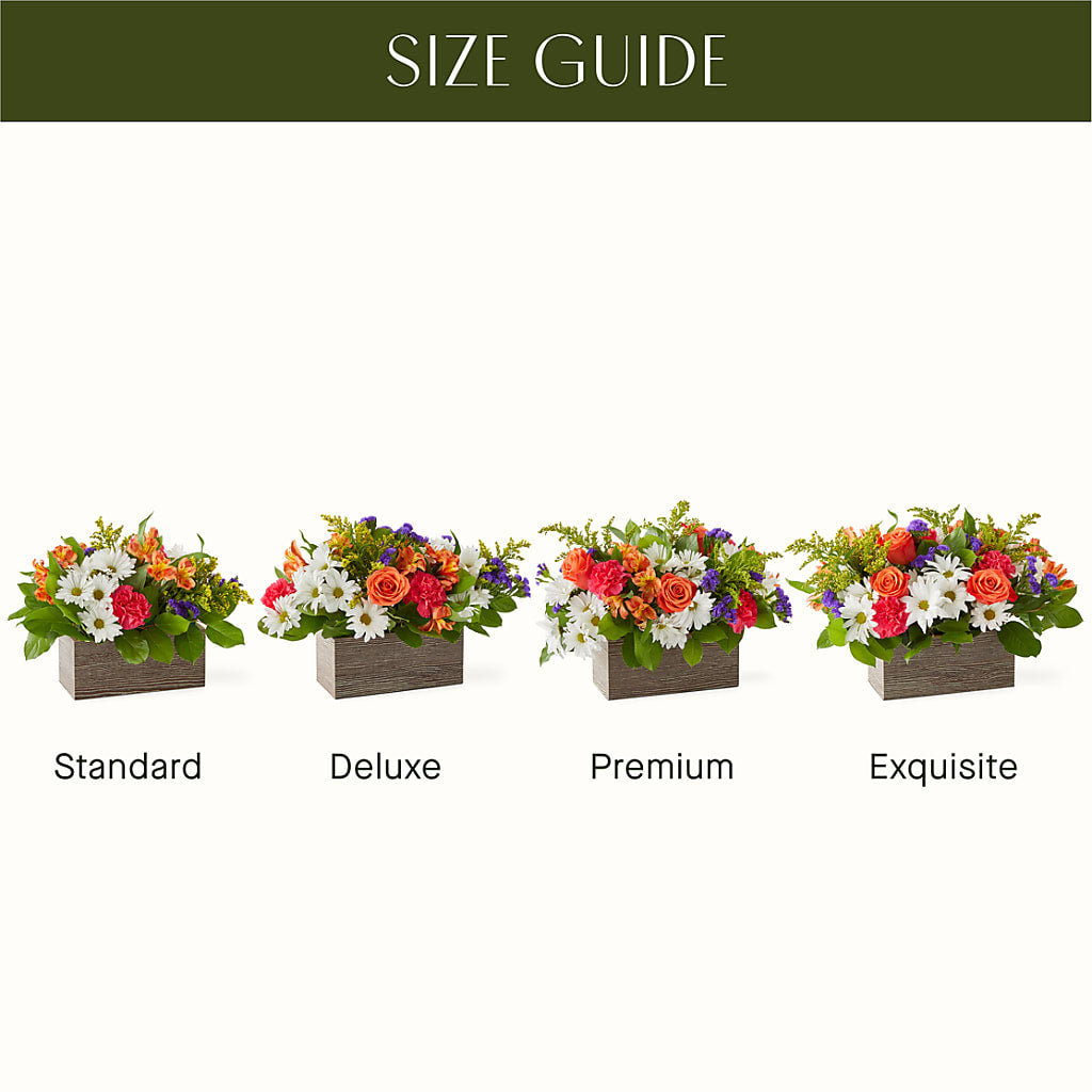Oopsie Daisy Box Bouquet – BUDS CUT FLOWERS & MORE, Taos NM