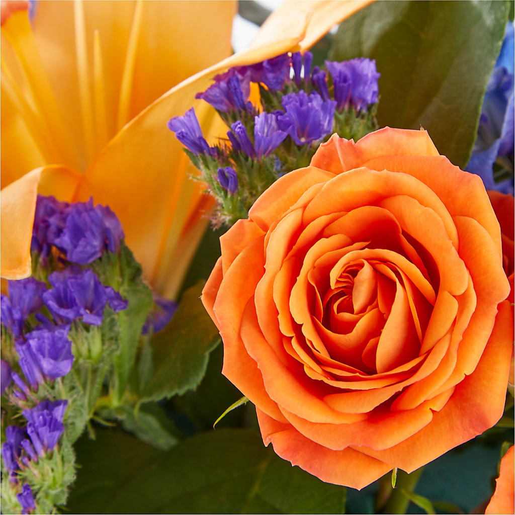 Radiant Citrus Box Bouquet – BUDS CUT FLOWERS & MORE, Taos NM