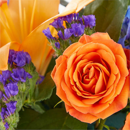 Radiant Citrus Box Bouquet – BUDS CUT FLOWERS & MORE, Taos NM
