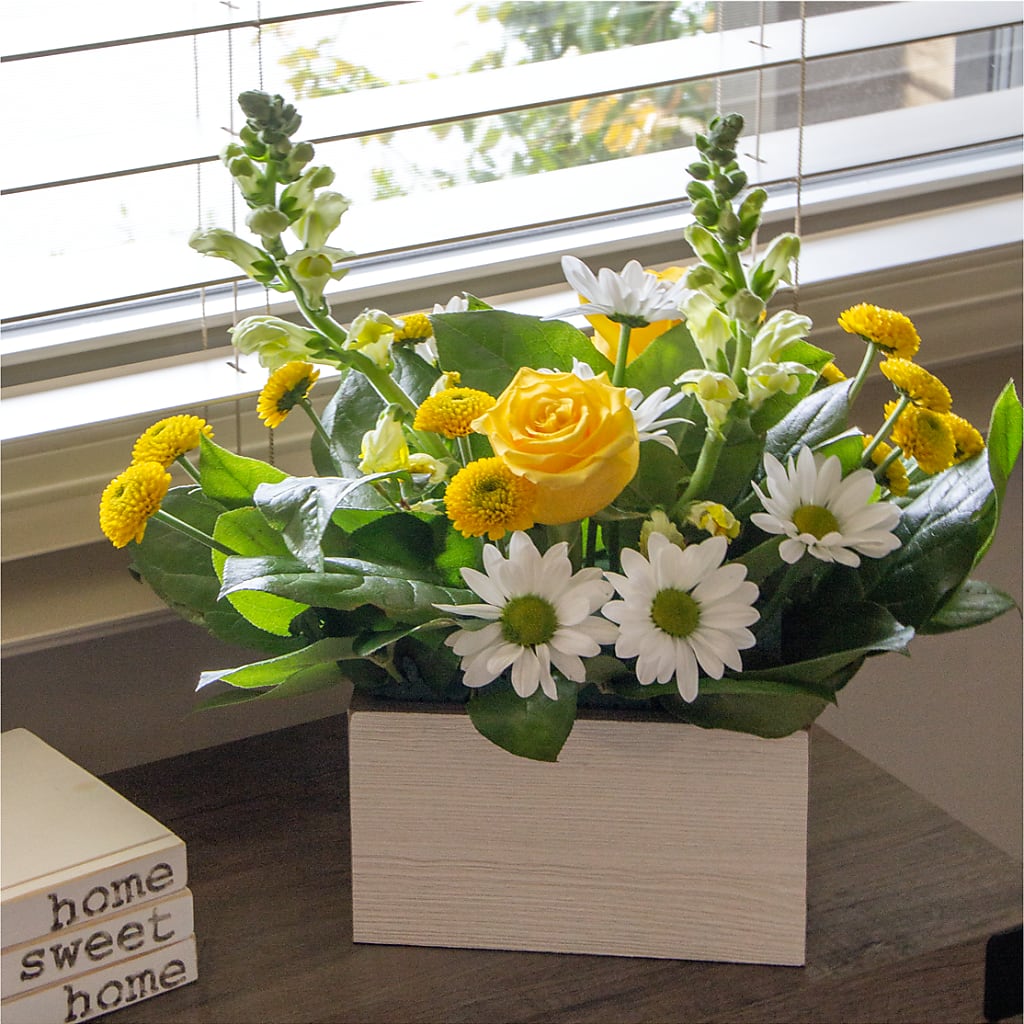Sun Salutation Box Bouquet – BUDS CUT FLOWERS & MORE, Taos NM