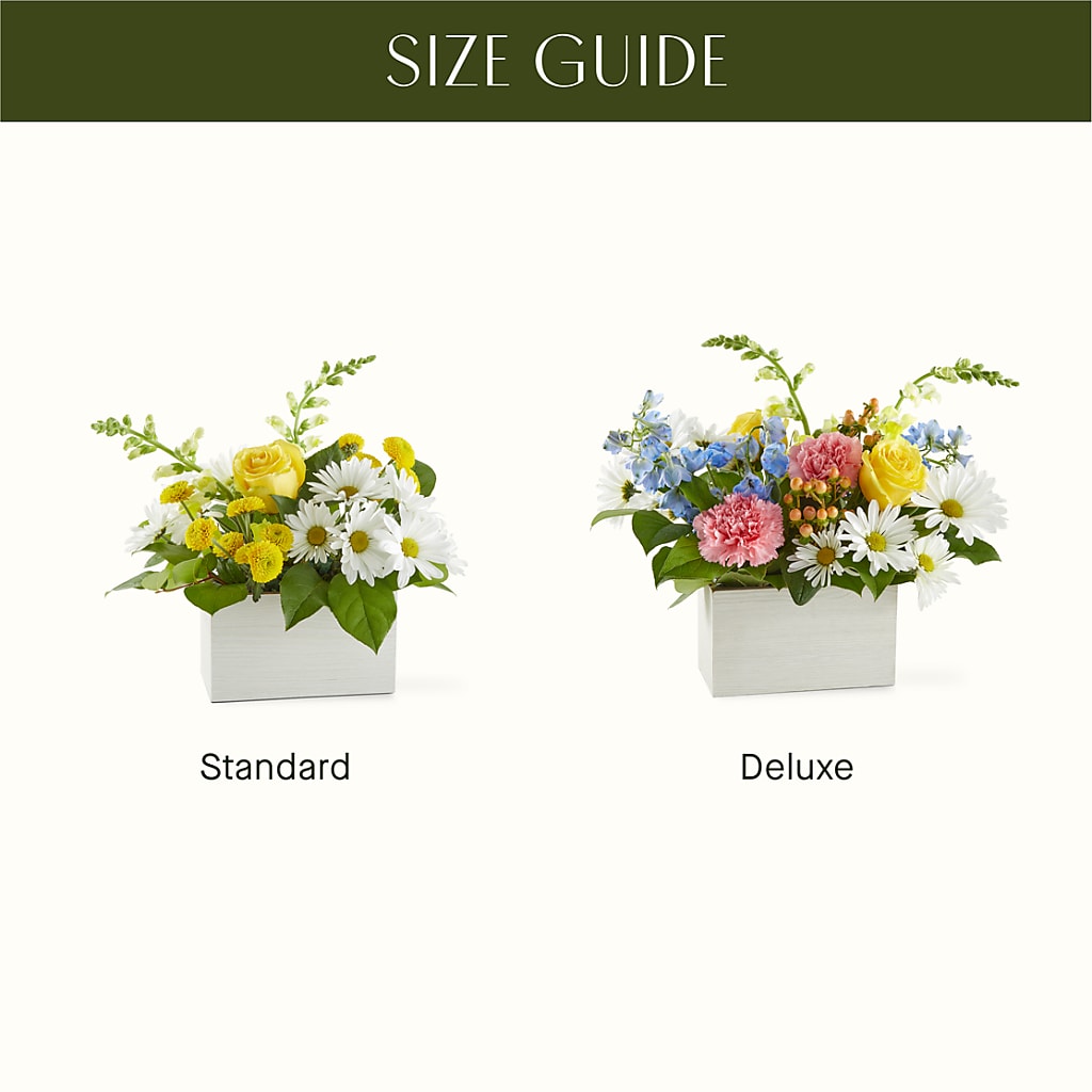 Sun Salutation Box Bouquet – BUDS CUT FLOWERS & MORE, Taos NM