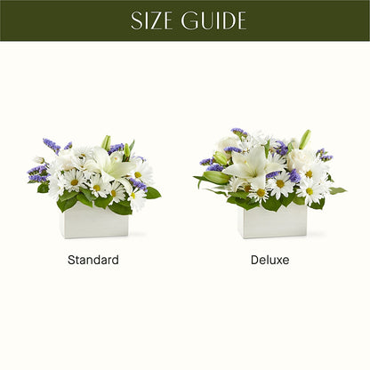 Beyond Blue Box Bouquet – BUDS CUT FLOWERS & MORE, Taos NM