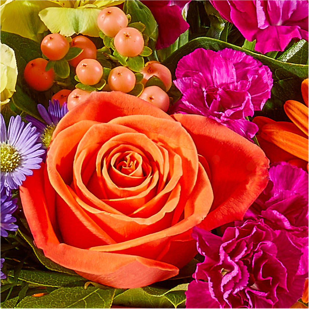 Tricks & Treats Pumpkin – BUDS CUT FLOWERS & MORE, Taos NM