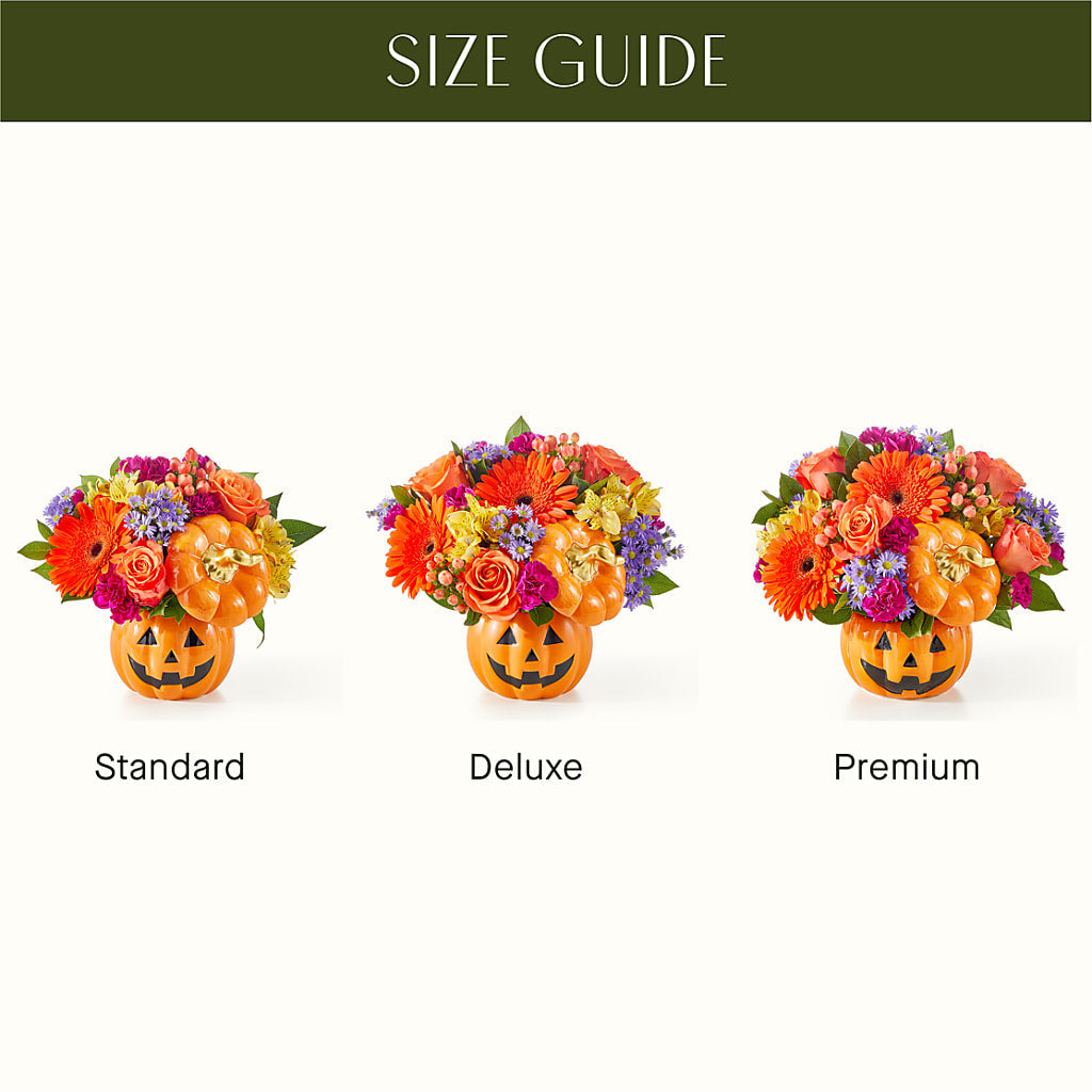 Tricks & Treats Pumpkin – BUDS CUT FLOWERS & MORE, Taos NM
