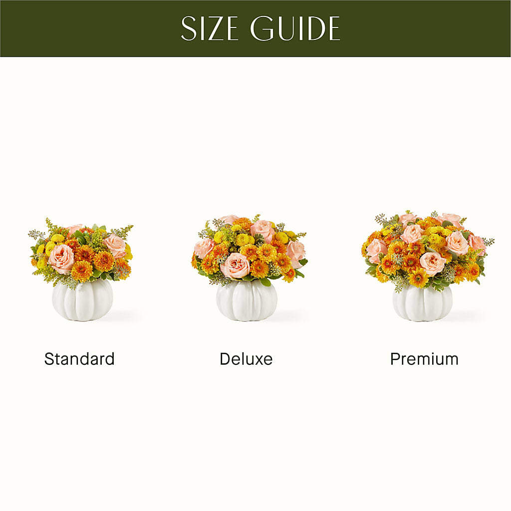 Peachy Pumpkin – BUDS CUT FLOWERS & MORE, Taos NM