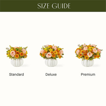 Peachy Pumpkin – BUDS CUT FLOWERS & MORE, Taos NM