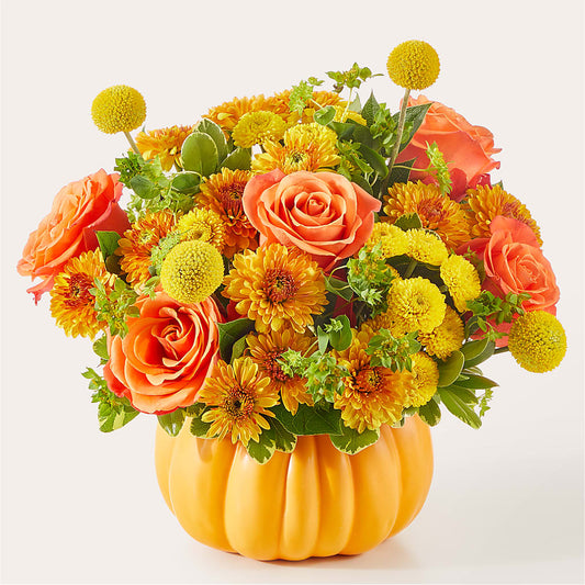 Gourdgeous Pumpkin – BUDS CUT FLOWERS & MORE, Taos NM
