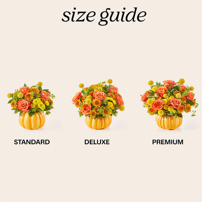 Gourdgeous Pumpkin – BUDS CUT FLOWERS & MORE, Taos NM