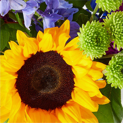 Catching Rays Bouquet – BUDS CUT FLOWERS & MORE, Taos NM