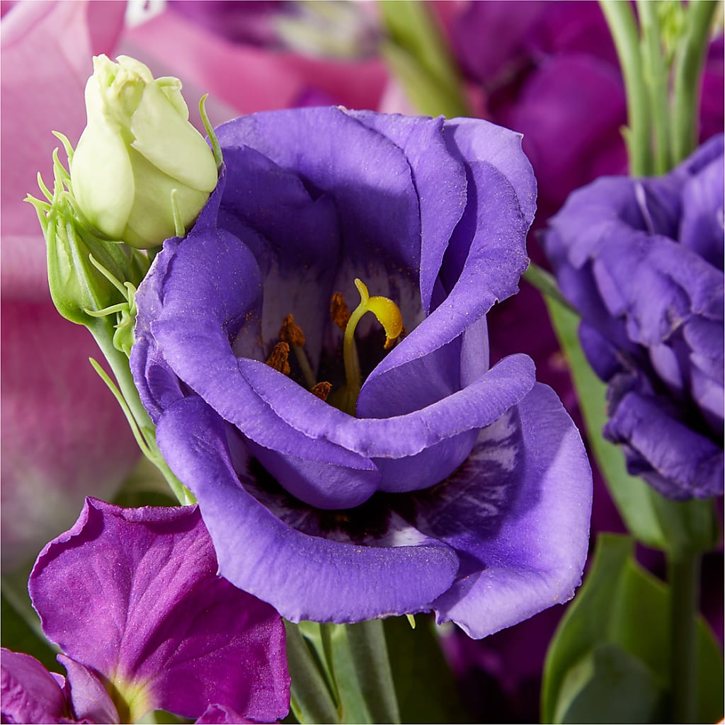 Twilight Glow Bouquet – BUDS CUT FLOWERS & MORE, Taos NM