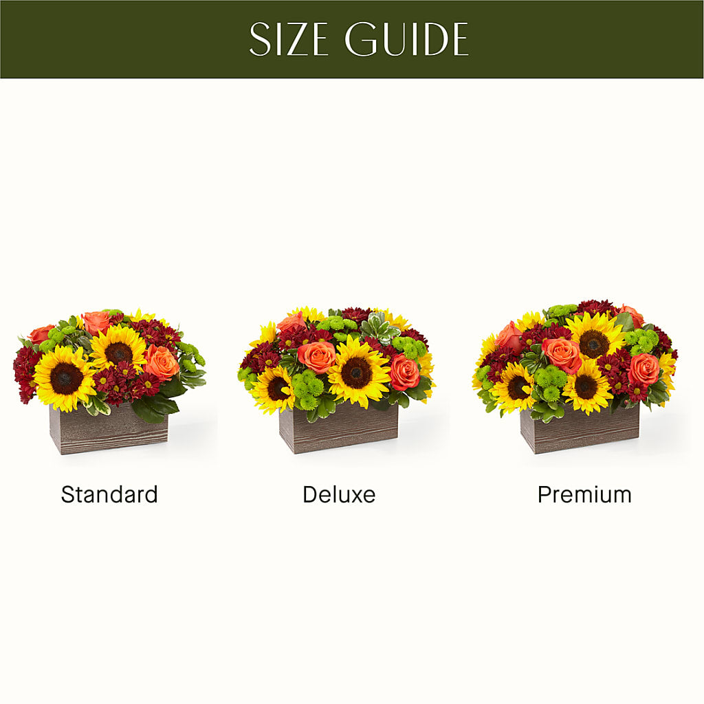 Happy Harvest Garden – BUDS CUT FLOWERS & MORE, Taos NM