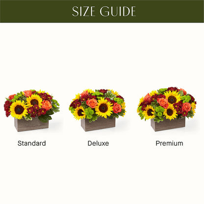 Happy Harvest Garden – BUDS CUT FLOWERS & MORE, Taos NM