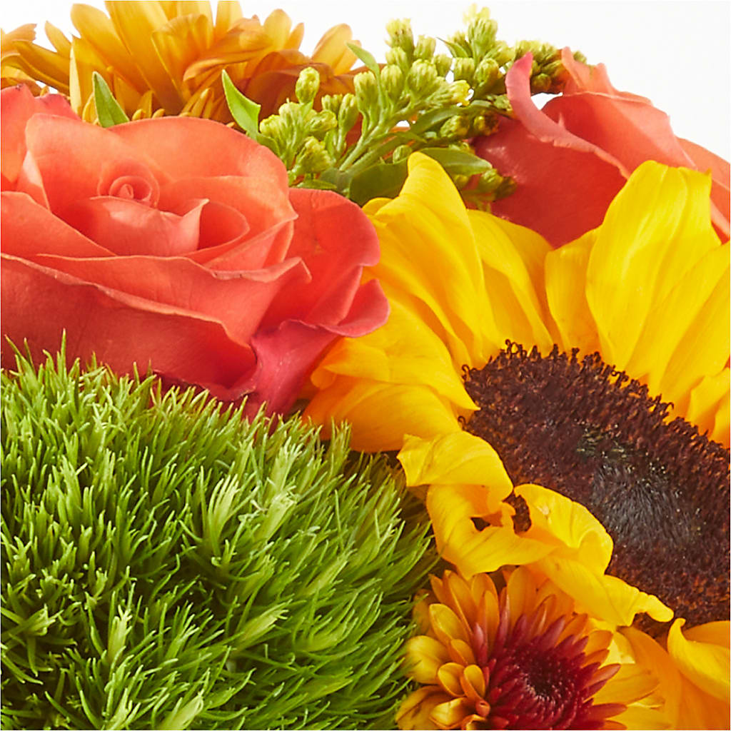 Farmer’s Market Stroll Bouquet – BUDS CUT FLOWERS & MORE, Taos NM