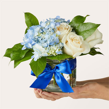 Sky Blue Delight Bouquet – BUDS CUT FLOWERS & MORE, Taos NM