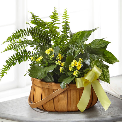 Always Dear Dishgarden – BUDS CUT FLOWERS & MORE, Taos NM