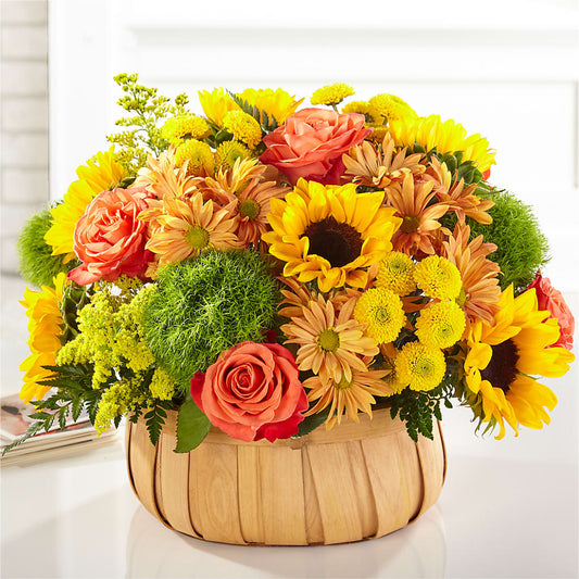 Harvest Sunflower Basket – BUDS CUT FLOWERS & MORE, Taos NM